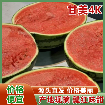 江苏东台甘美4K西瓜产地直发口感好甜度高量大从优可视频