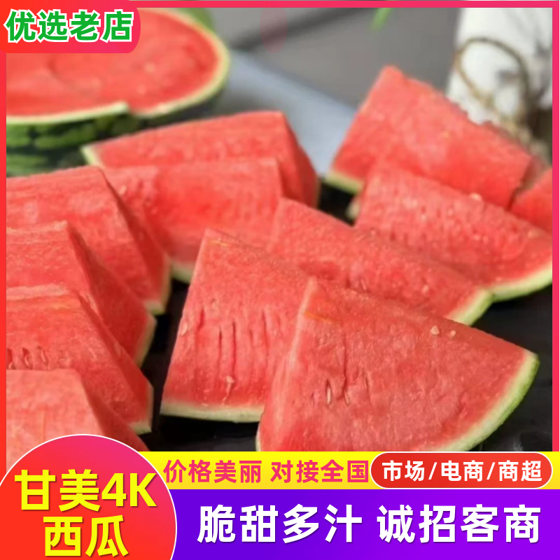 江苏东台甘美4K西瓜产地直发口感好甜度高量大从优可视频