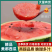 江苏盐城精品有籽美都西瓜薄皮量大一手货源基地直发视频看货