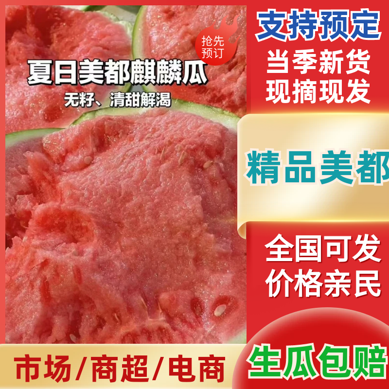 江苏盐城精品有籽美都西瓜薄皮量大一手货源基地直发视频看货