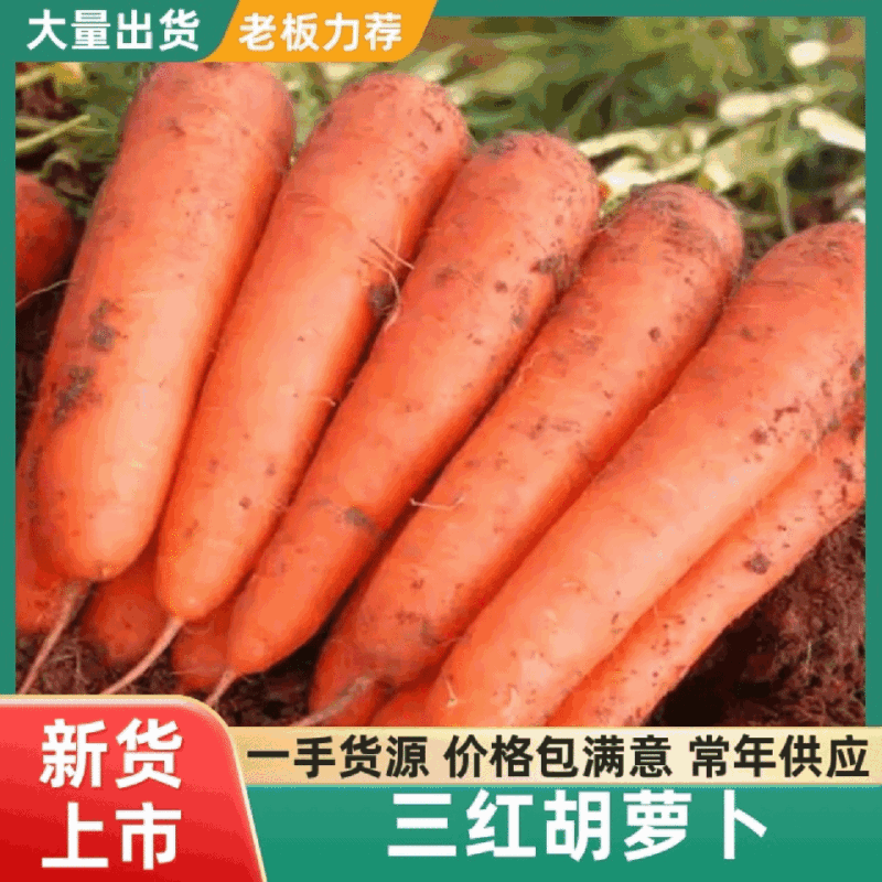 通许三红萝卜带叶不带叶半叶都有不分叉开裂带土的净菜齐全
