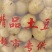 黄心土豆/沃土5号/襄阳土豆/产地现挖现发，基地直供