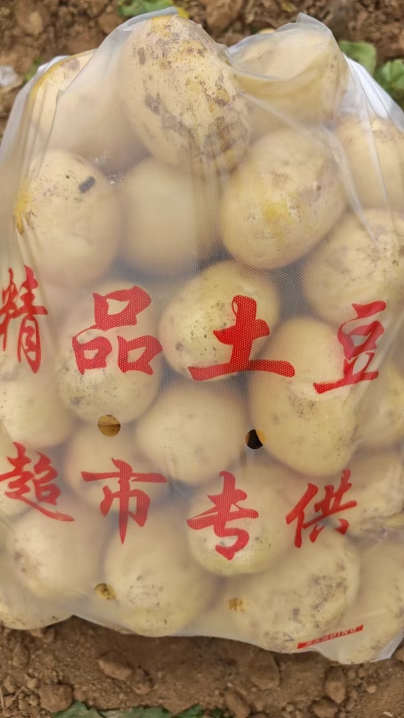 黄心土豆/沃土5号/襄阳土豆/产地现挖现发，基地直供