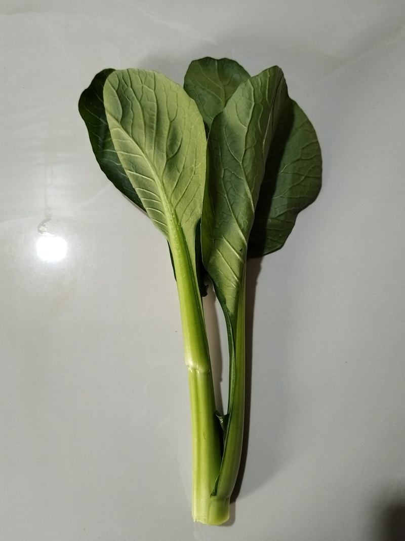 青菜苔精品菜苔菜苔产地直发量大从优可视频看货对接全国