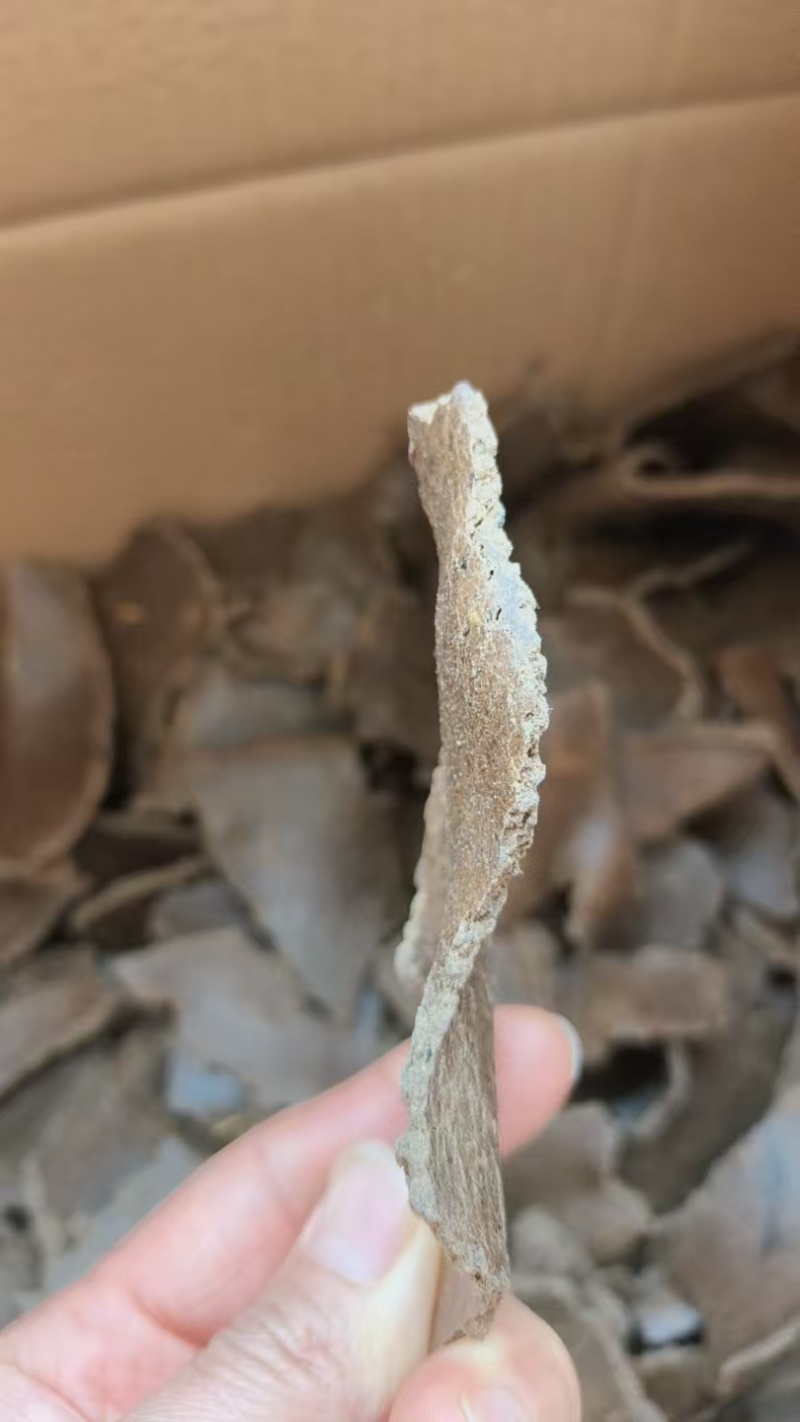 【花生饼】生榨花生饼，欢迎客商前来采购！支持视频看货