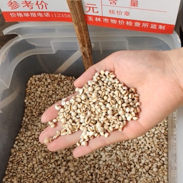 薏米大货价6元/斤