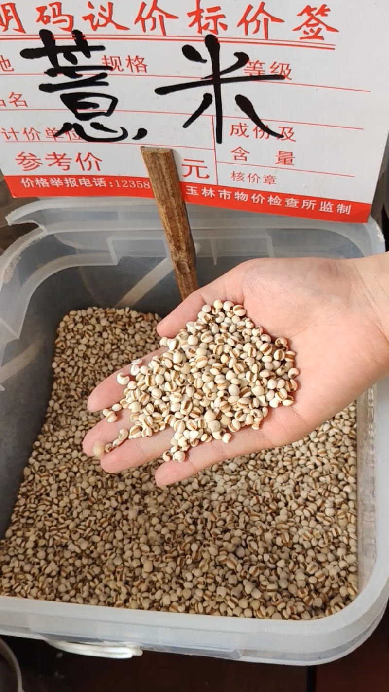 薏米大货价6元/斤