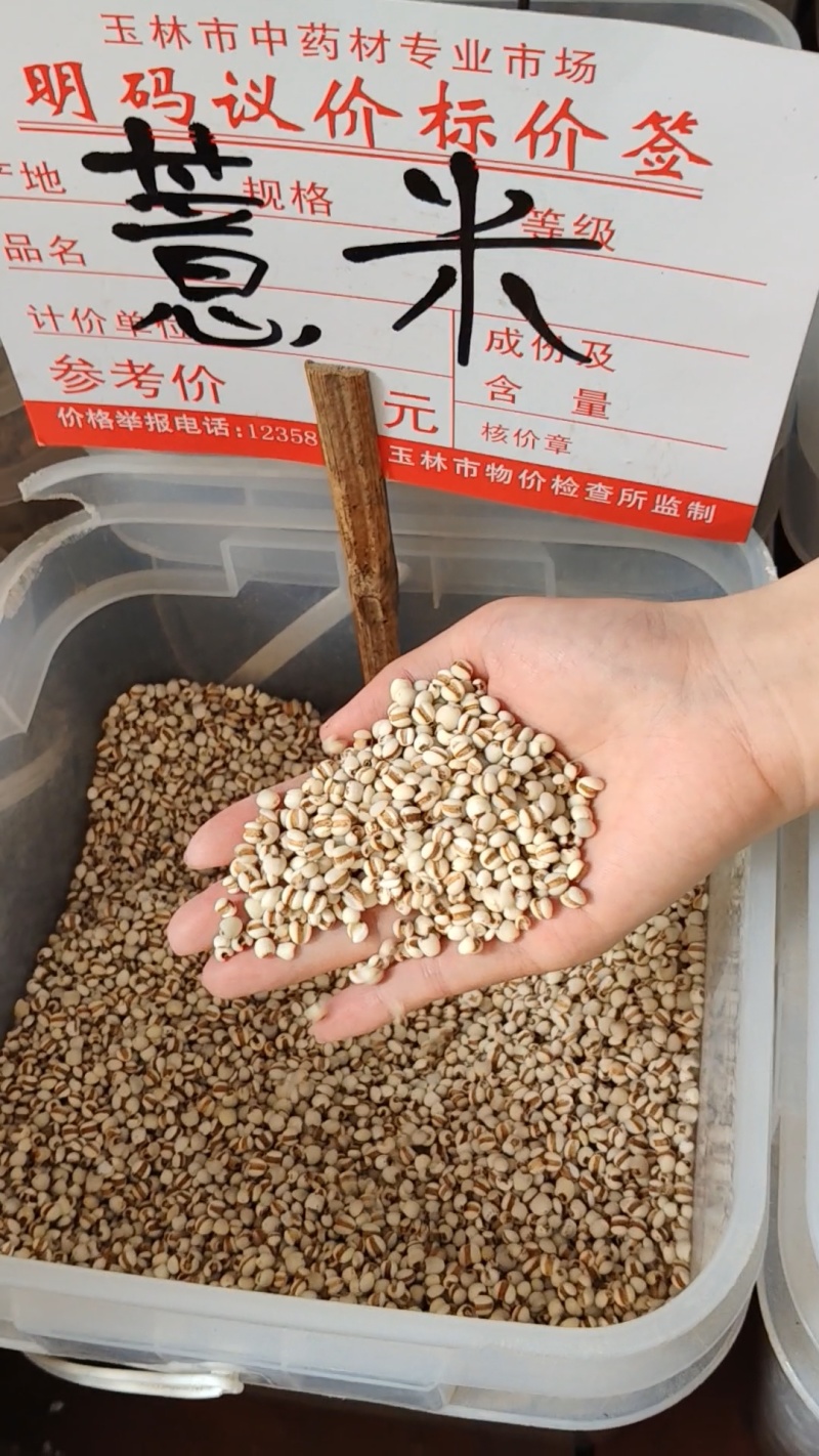 薏米大货价6元/斤