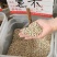薏米大货价6元/斤