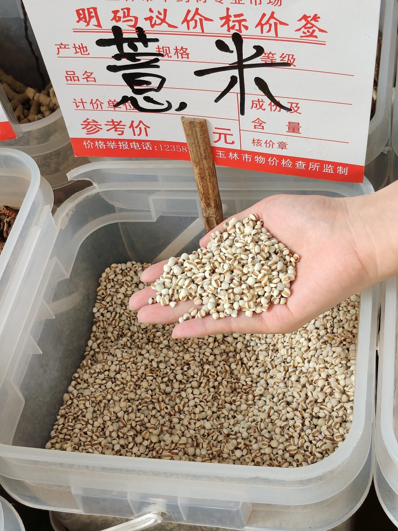 薏米大货价6元/斤
