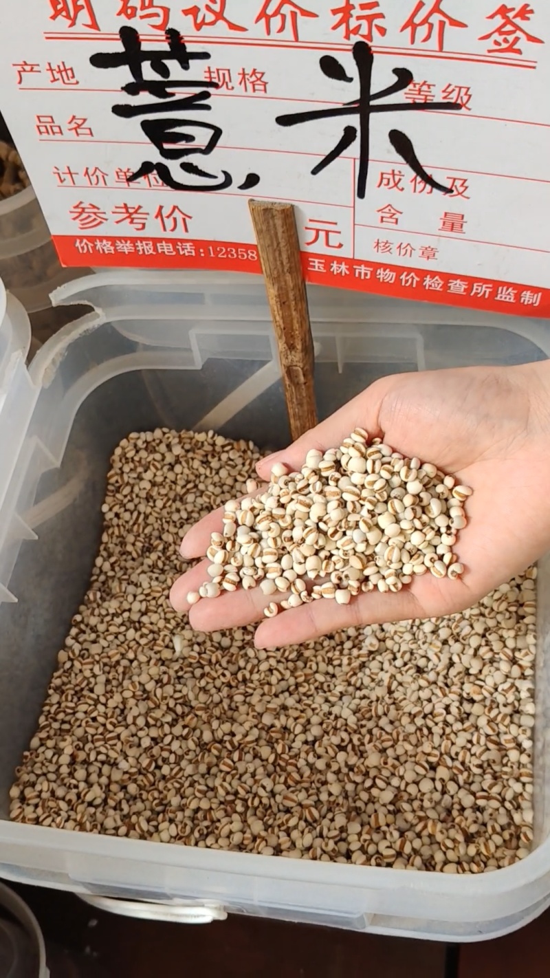 薏米大货价6元/斤