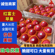 苹果山东红富士苹果口感脆甜产地供应全国发货品质保
