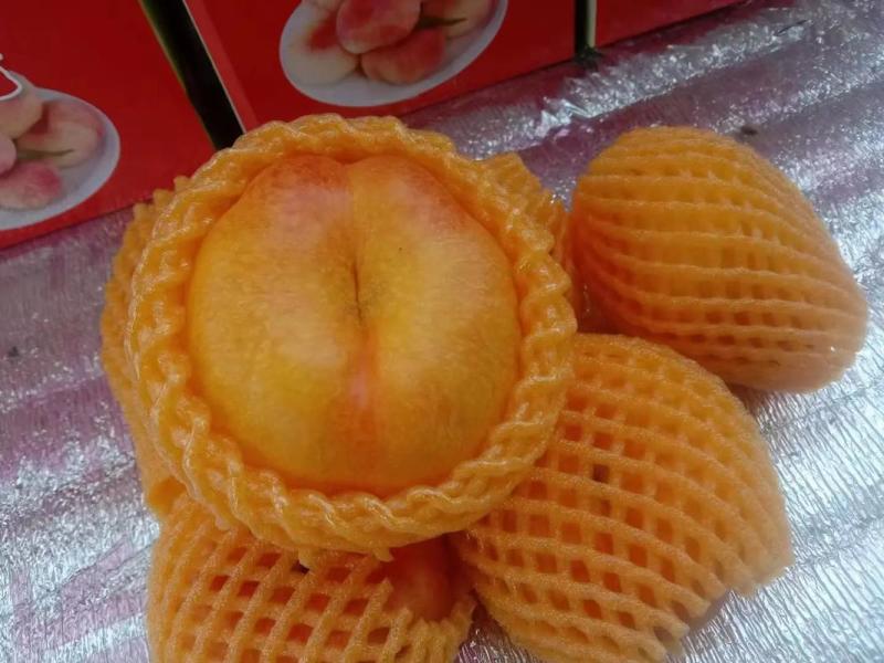 辽宁油蟠桃精品1-21油蟠桃现摘现发大量现货直发