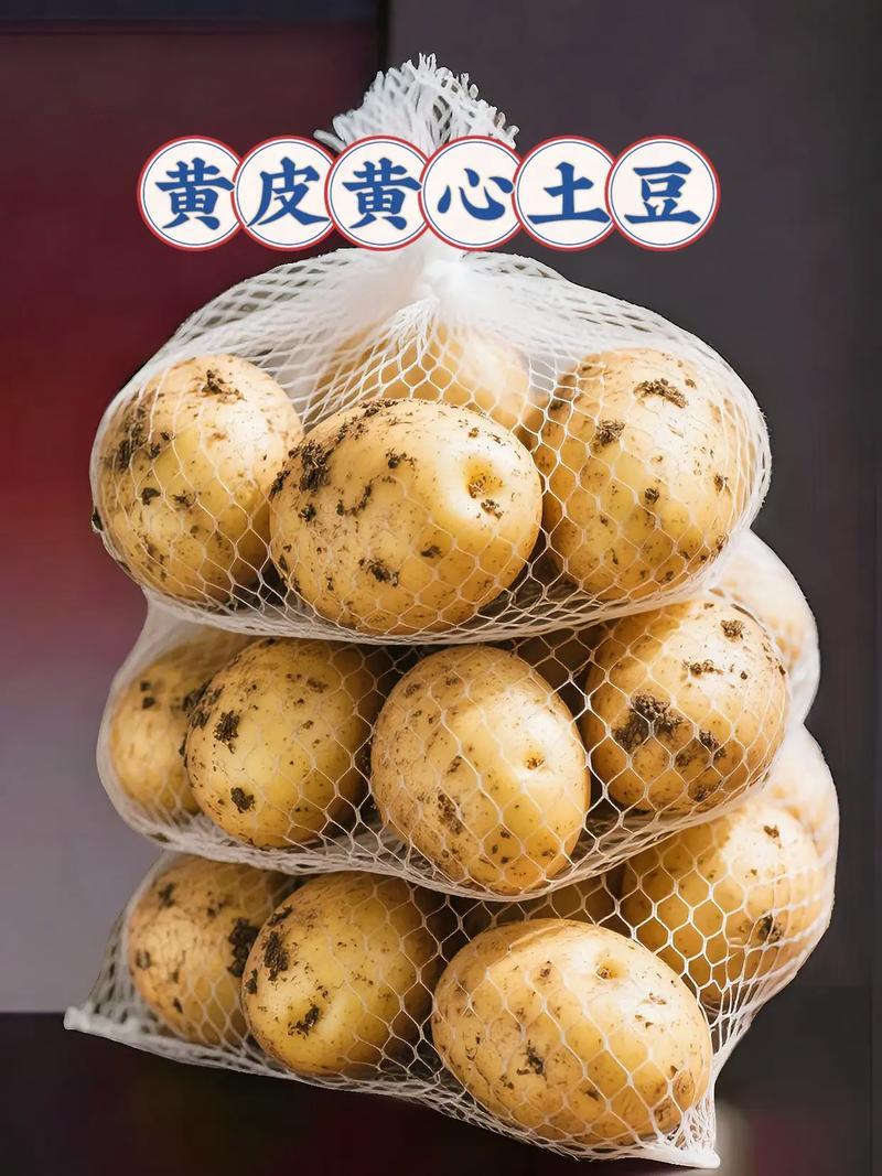 河南黄心土豆基地直发对接电商市场商超可视频