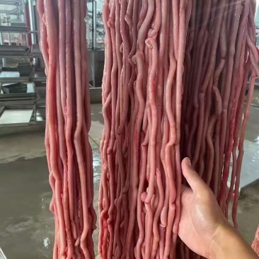 新鲜鹅肠-新鲜鸭肠