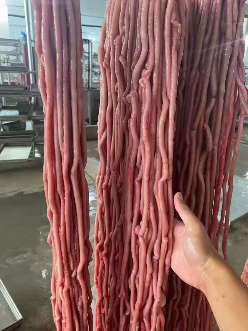 新鲜鹅肠-新鲜鸭肠
