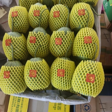 芝麻脆宝甜瓜网袋纸箱托盘礼盒都有按需分拣打包装车现货