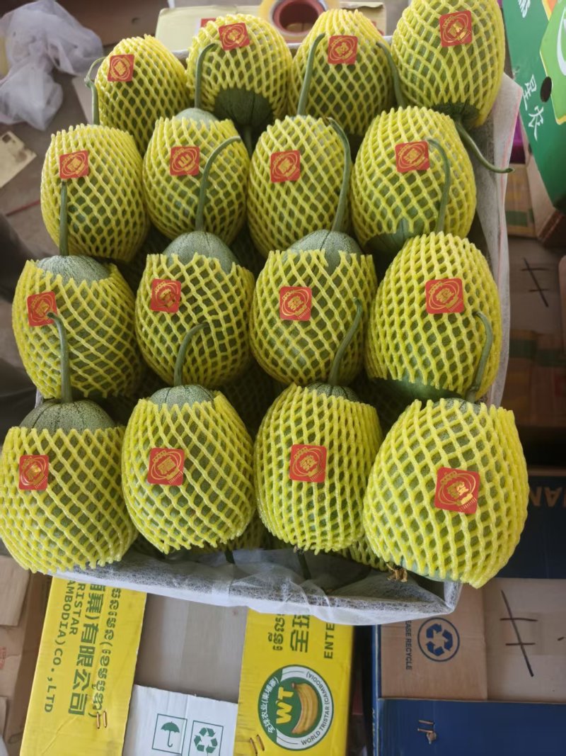 芝麻脆宝甜瓜网袋纸箱托盘礼盒都有按需分拣打包装车现货