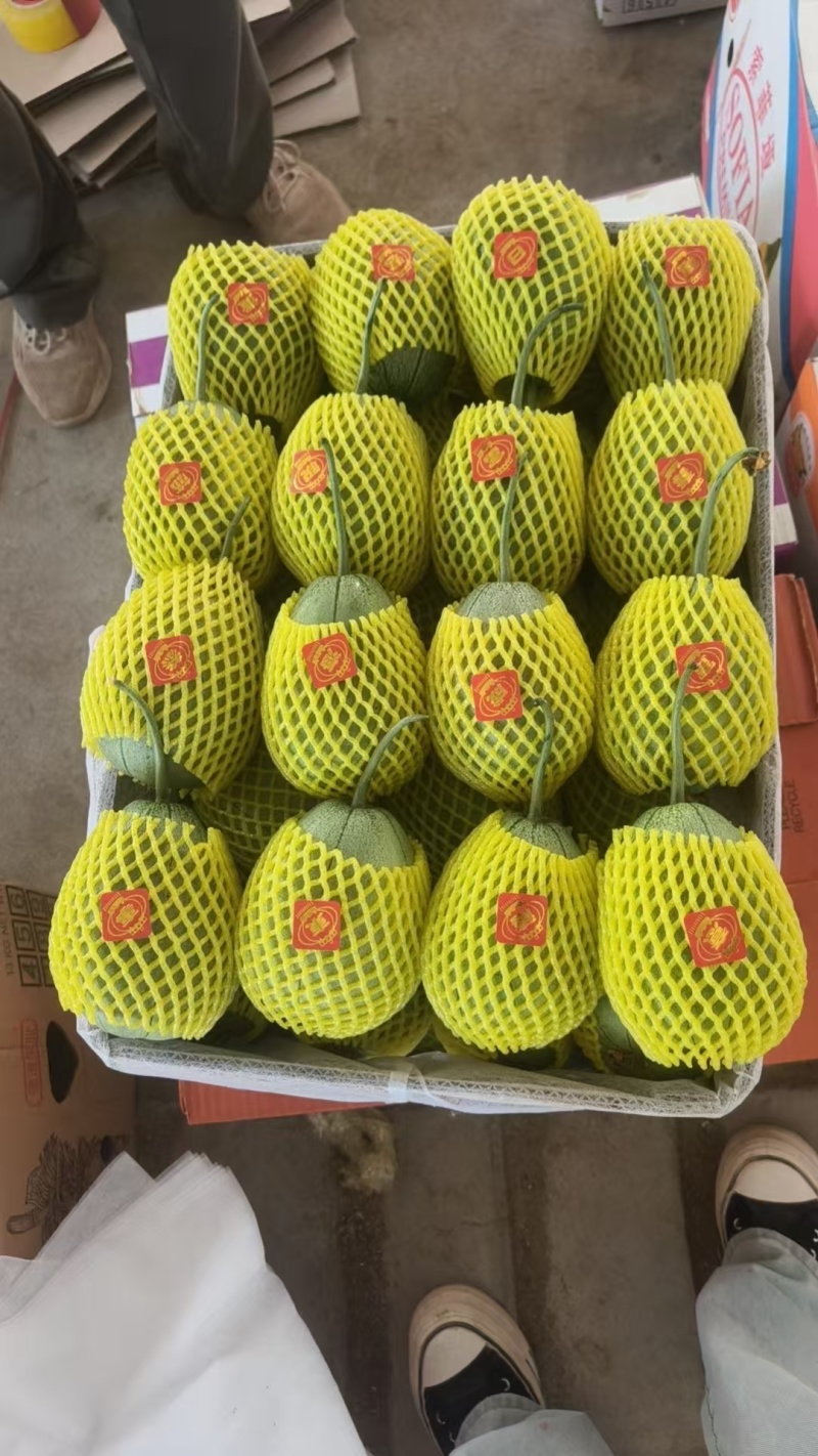 芝麻脆宝甜瓜网袋纸箱托盘礼盒都有按需分拣打包装车现货