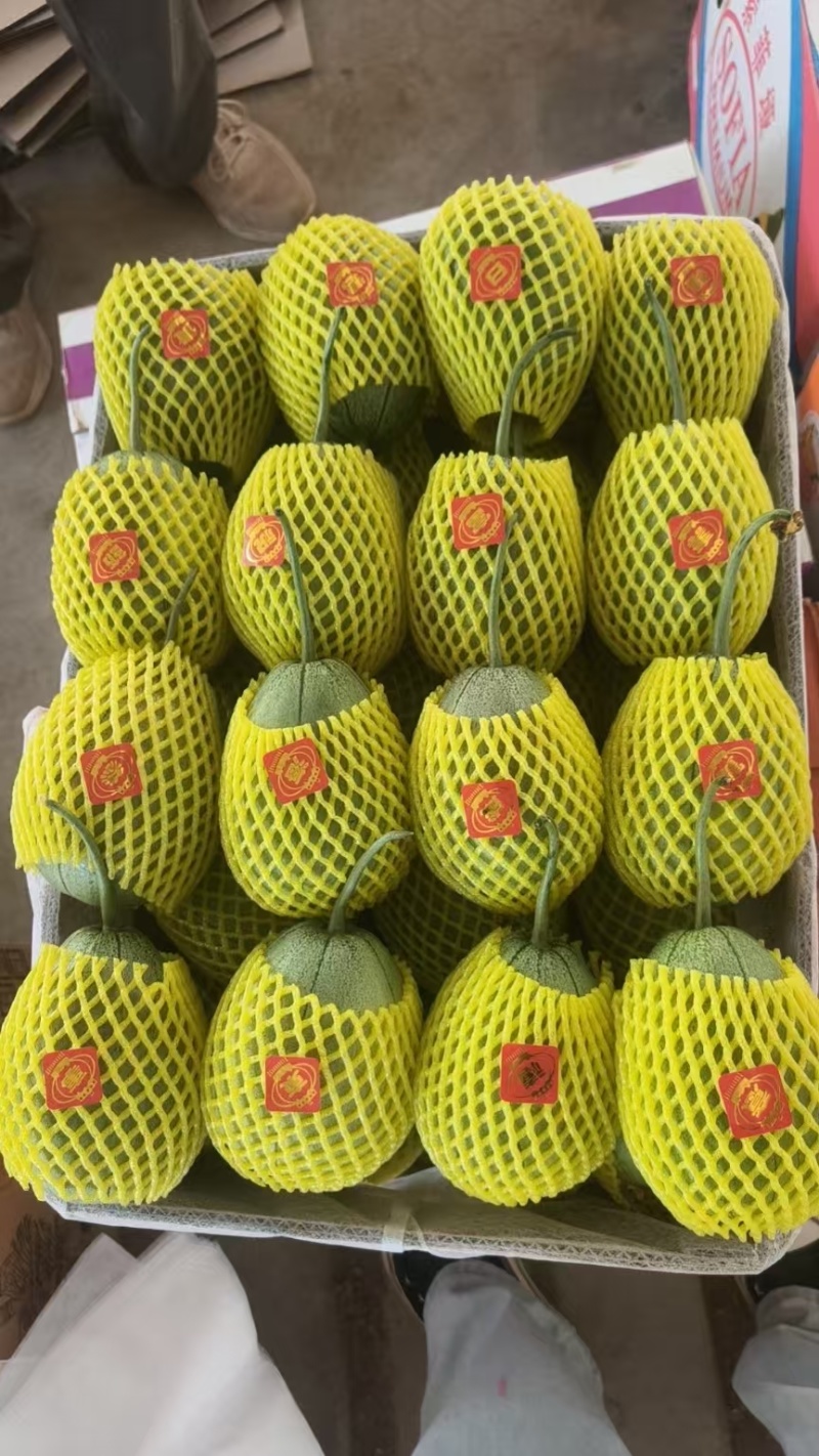 芝麻脆宝甜瓜网袋纸箱托盘礼盒都有按需分拣打包装车现货