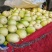 福甜甜瓜口感脆甜水分足大小规格齐全可以现场挑货满意再装