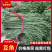 【精品】豇豆长豆角产地直供大量供应商超市场电商
