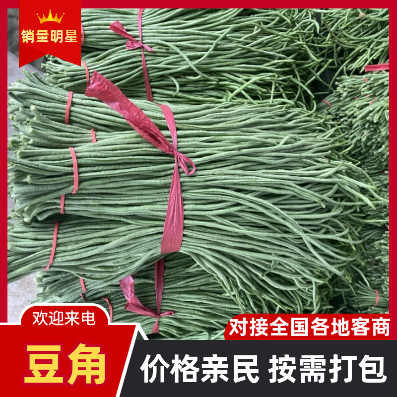 【精品】豇豆长豆角产地直供大量供应商超市场电商