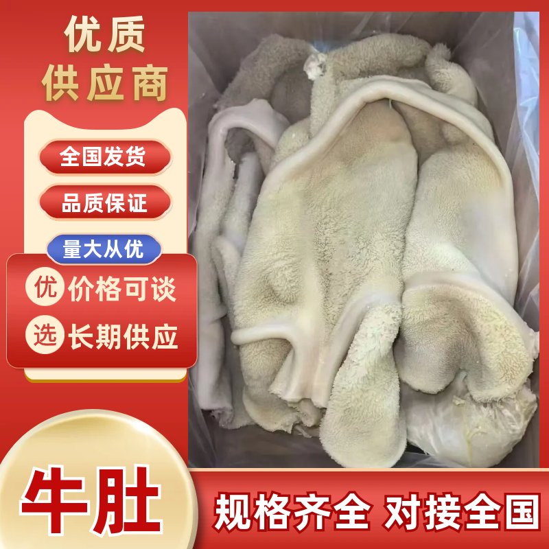 清真原味牛肚适合炒菜肚丝汤凉拌一手货源支持样品