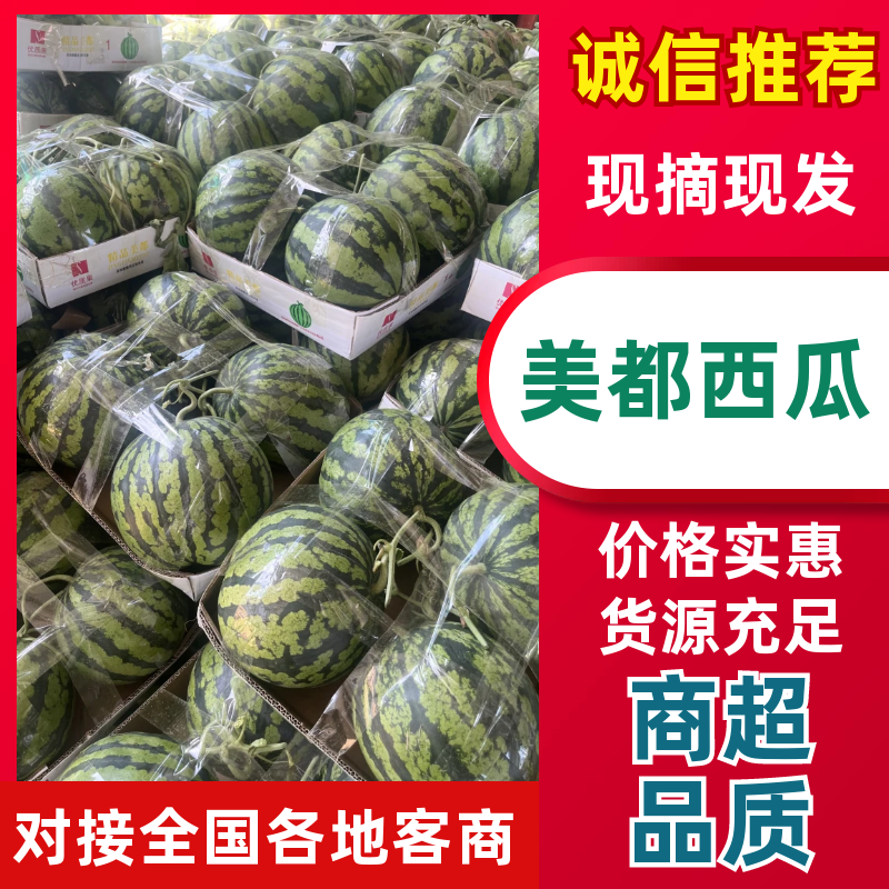 美都西瓜品质保证服务周到产地直发价格美丽欢迎联系