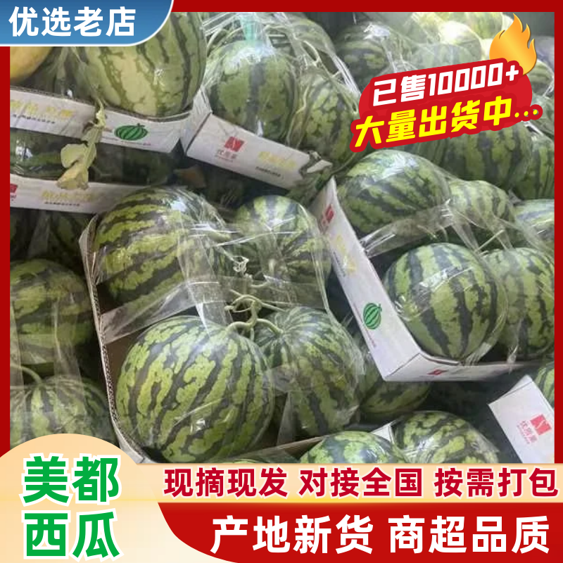 美都西瓜品质保证服务周到产地直发价格美丽欢迎联系