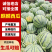 麒麟西瓜品质保证产地直发。支持代采代发落地配等模式