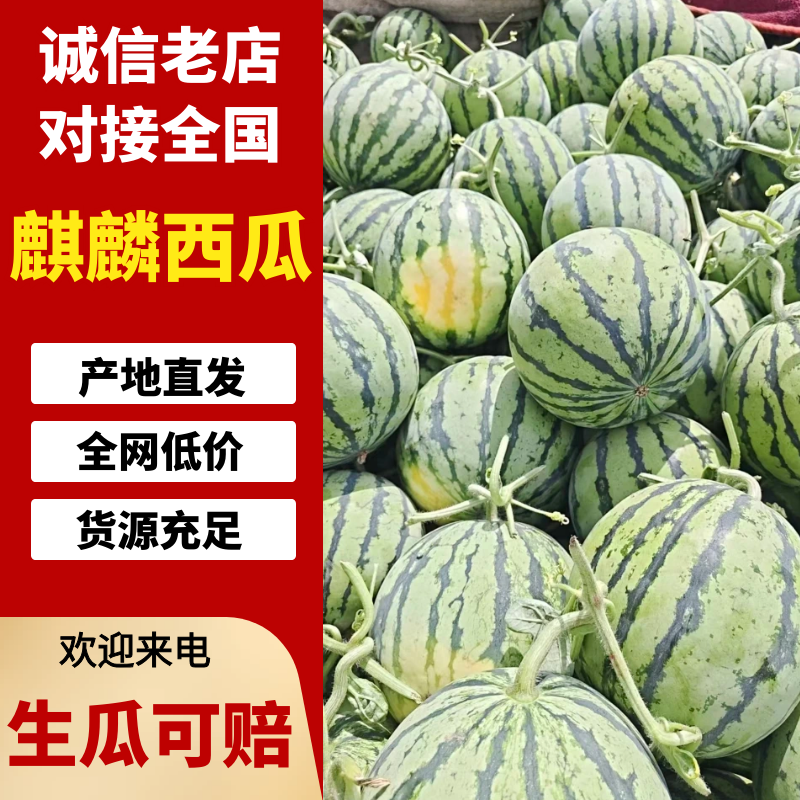 麒麟西瓜品质保证产地直发。支持代采代发落地配等模式
