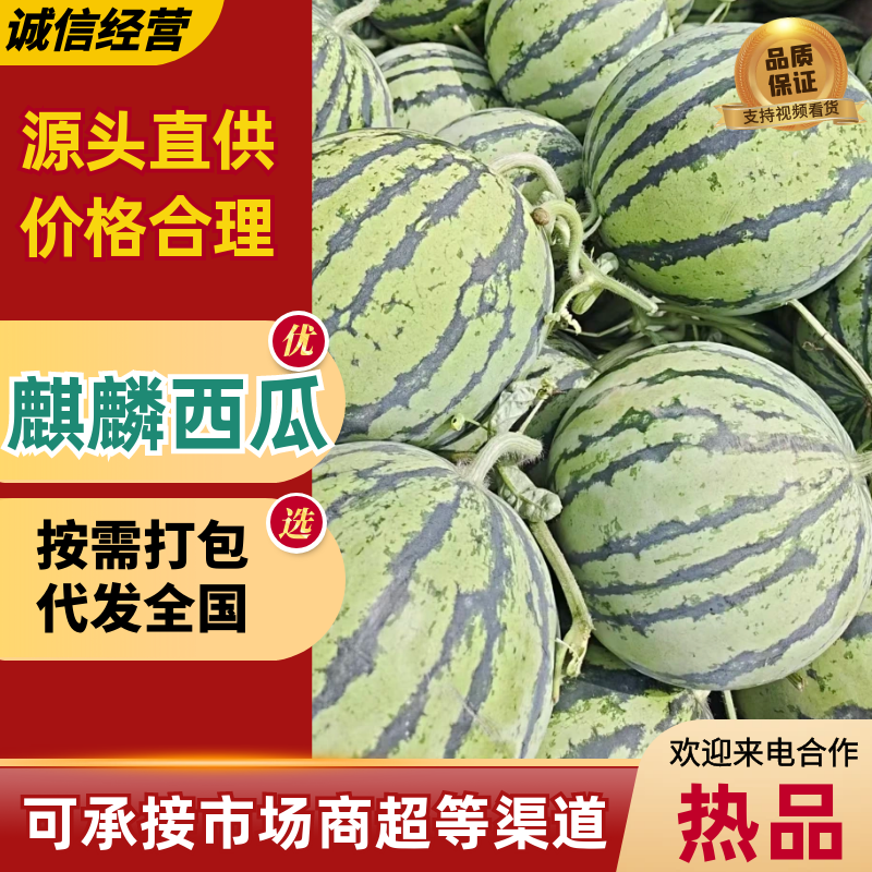 麒麟西瓜品质保证产地直发。支持代采代发落地配等模式