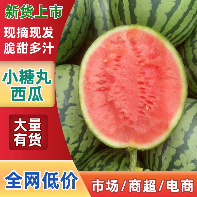 小糖丸西瓜现摘现发，果园产地直发全国发货可长期合作