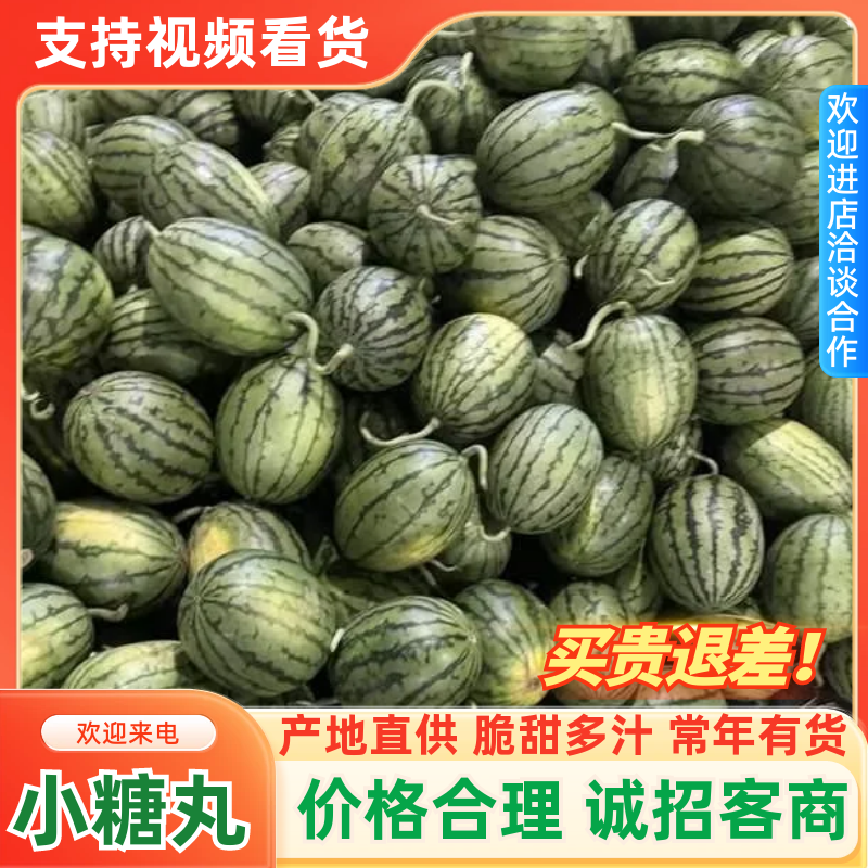 小糖丸西瓜现摘现发，果园产地直发全国发货可长期合作