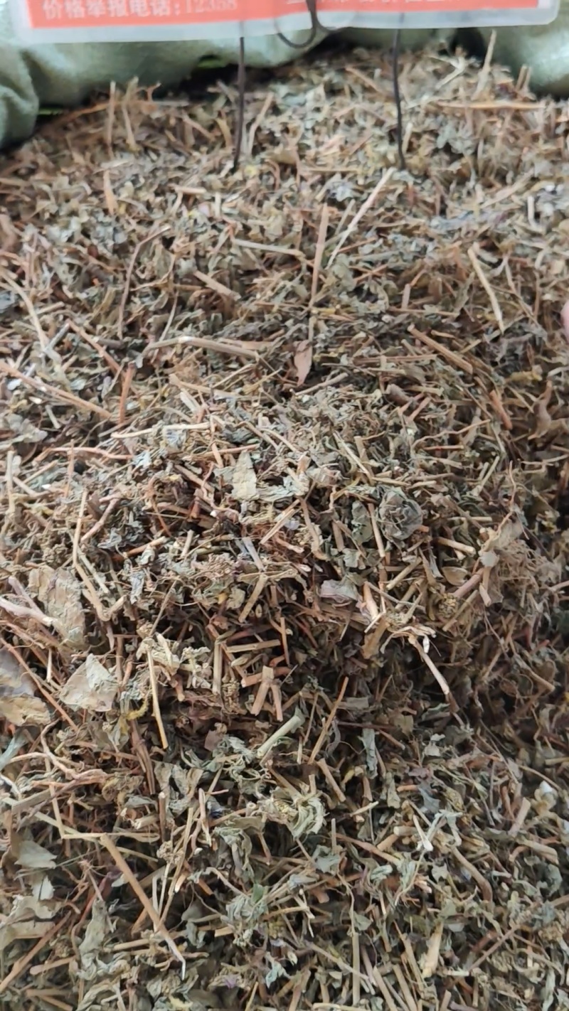 飞扬草大货价6元/斤