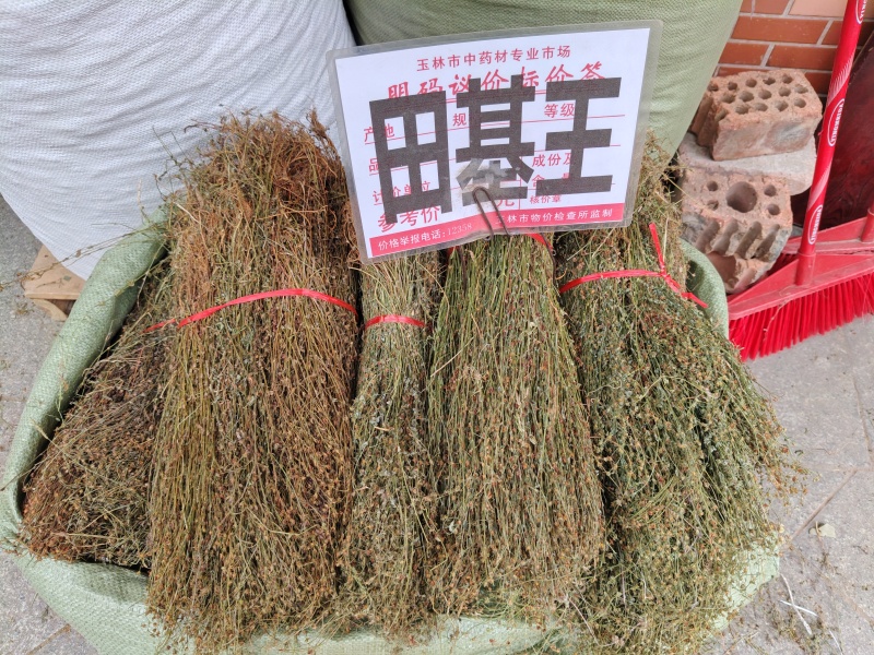 田基王大货价16.5元/斤