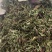 蒲公英大货价7元/斤