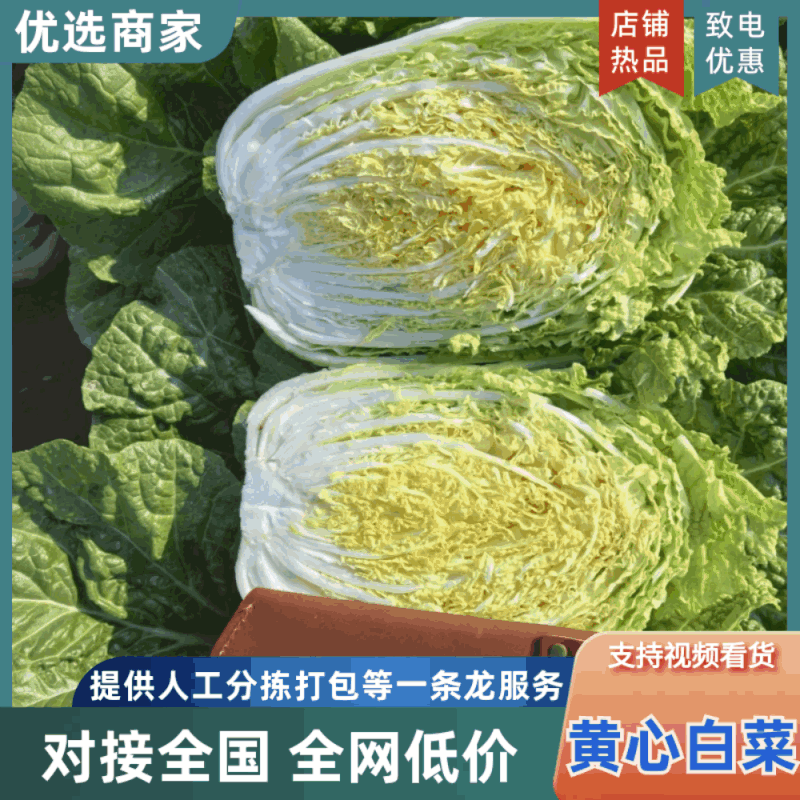 【黄心白菜】山东白菜/兰陵黄心白菜/价格便宜质量三包