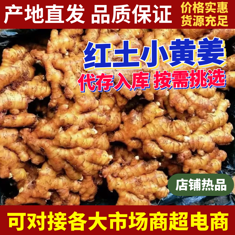 广东【小黄姜生姜】产地批发/随到随装/产地代发全国