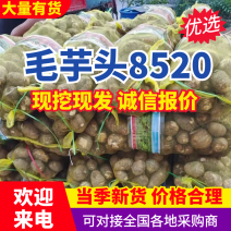 【毛芋头/8520芋头】人工手选/按需加工/常年供应全国发货