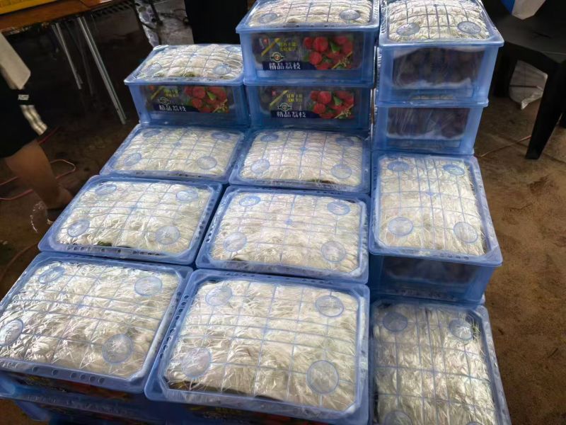 海南妃子笑荔枝万宁产地通货批发18级鲜果6元/斤