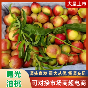湖北油桃518油桃曙光油桃产地直发，电商果可视频看货