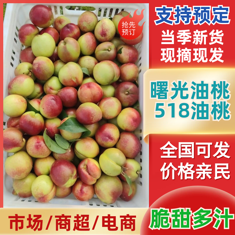 湖北油桃518油桃曙光油桃产地直发，电商果可视频看货