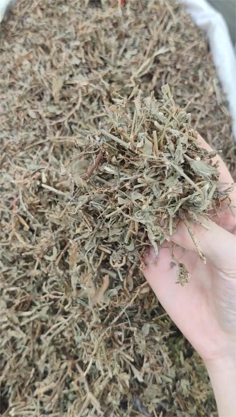 萹蓄草大货价7.5元/斤