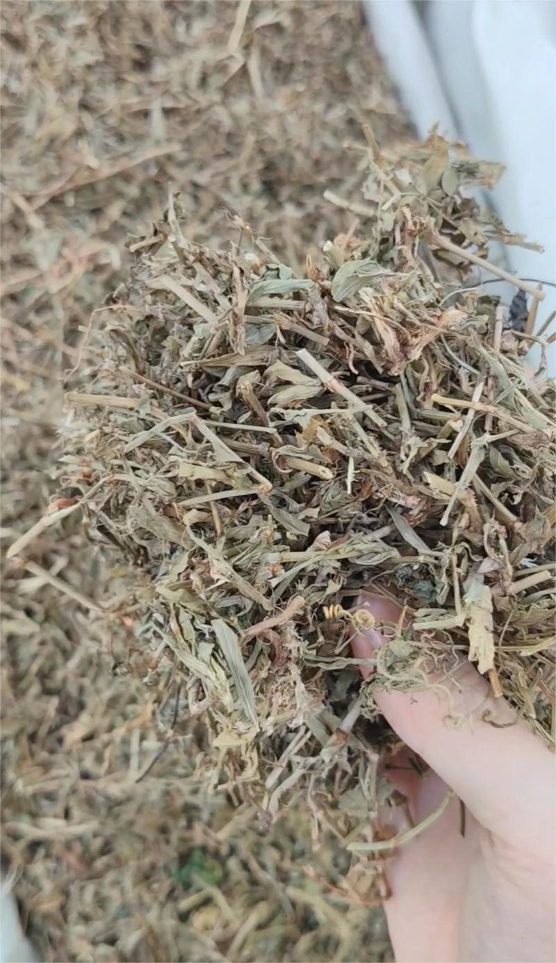 萹蓄草大货价7.5元/斤