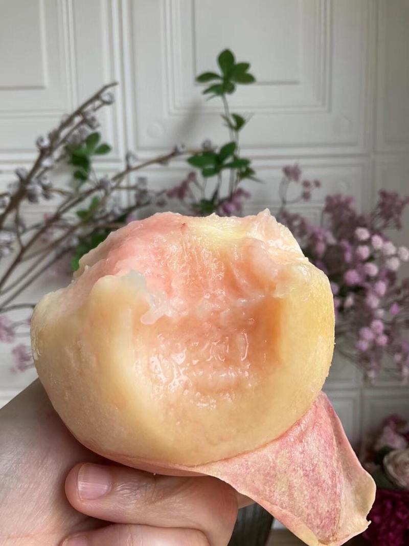 阳山水蜜桃（单果无损测糖）
