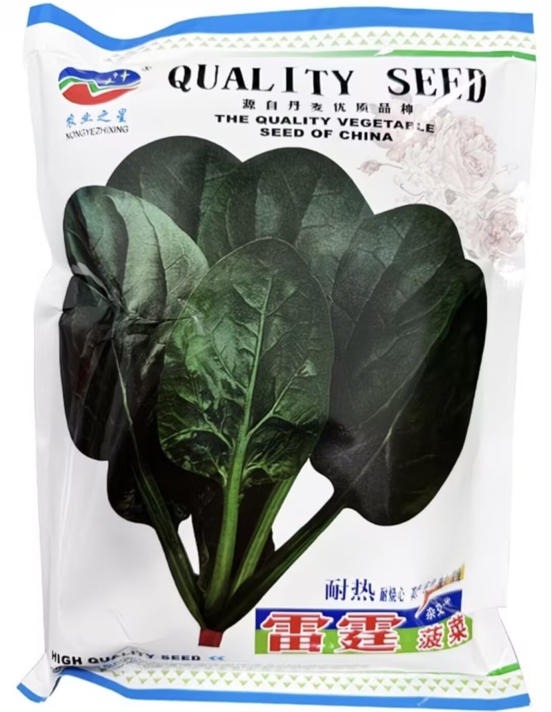 丹麦进口菠菜种子雷霆菠菜种子夏日耐热耐烧心菠菜种子抗高温