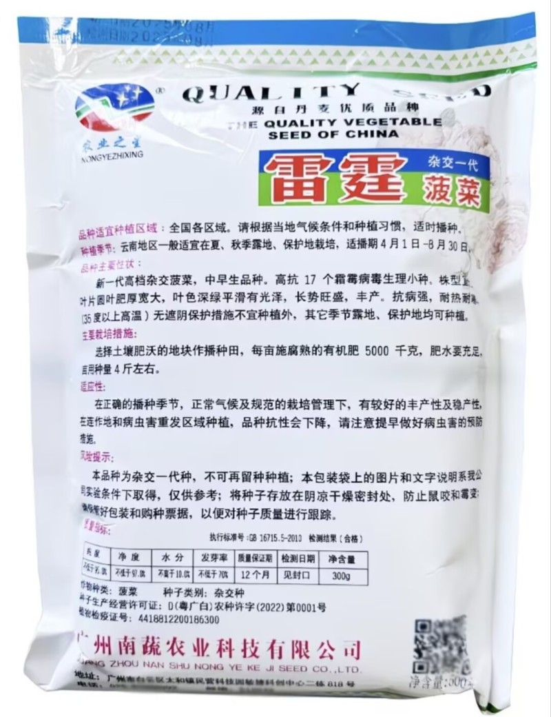 丹麦进口菠菜种子雷霆菠菜种子夏日耐热耐烧心菠菜种子抗高温