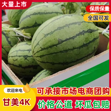 【甘美4k】礼品西瓜头茬脆瓤定制礼品盒大小适中九成熟糖度